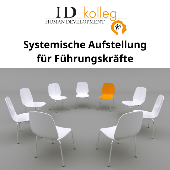 Workshops für Gruppen + 1:1 3 Systemische Aufstellung fuer Fuehrungskraefte Human Development kolleg