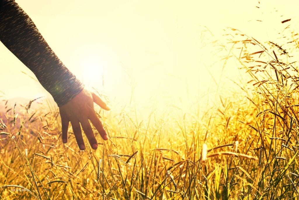 PERSÖNLICHKEITSENTWICKLUNG 8 Sonne Wachstum Hoffnung Canva Human Development kolleg